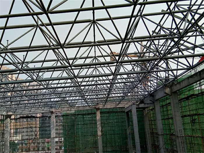 项城光谷第十一小学网架